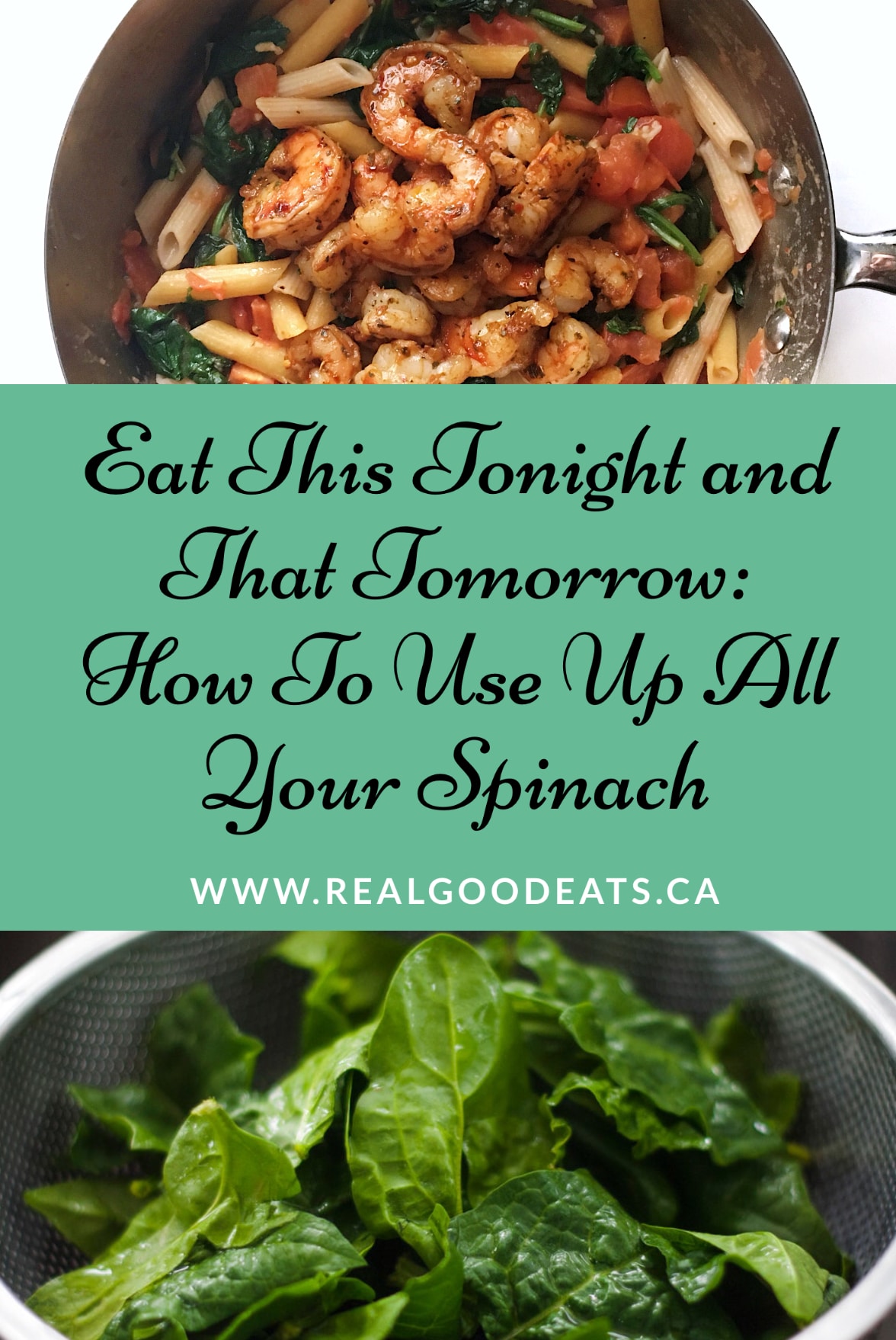 how to use up all your spinach
