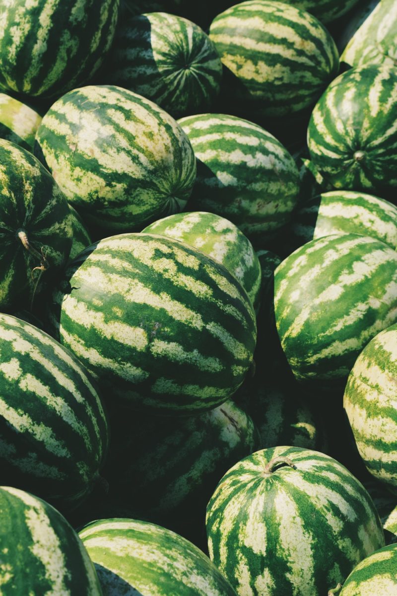 5 Ways to Use Watermelon Rinds