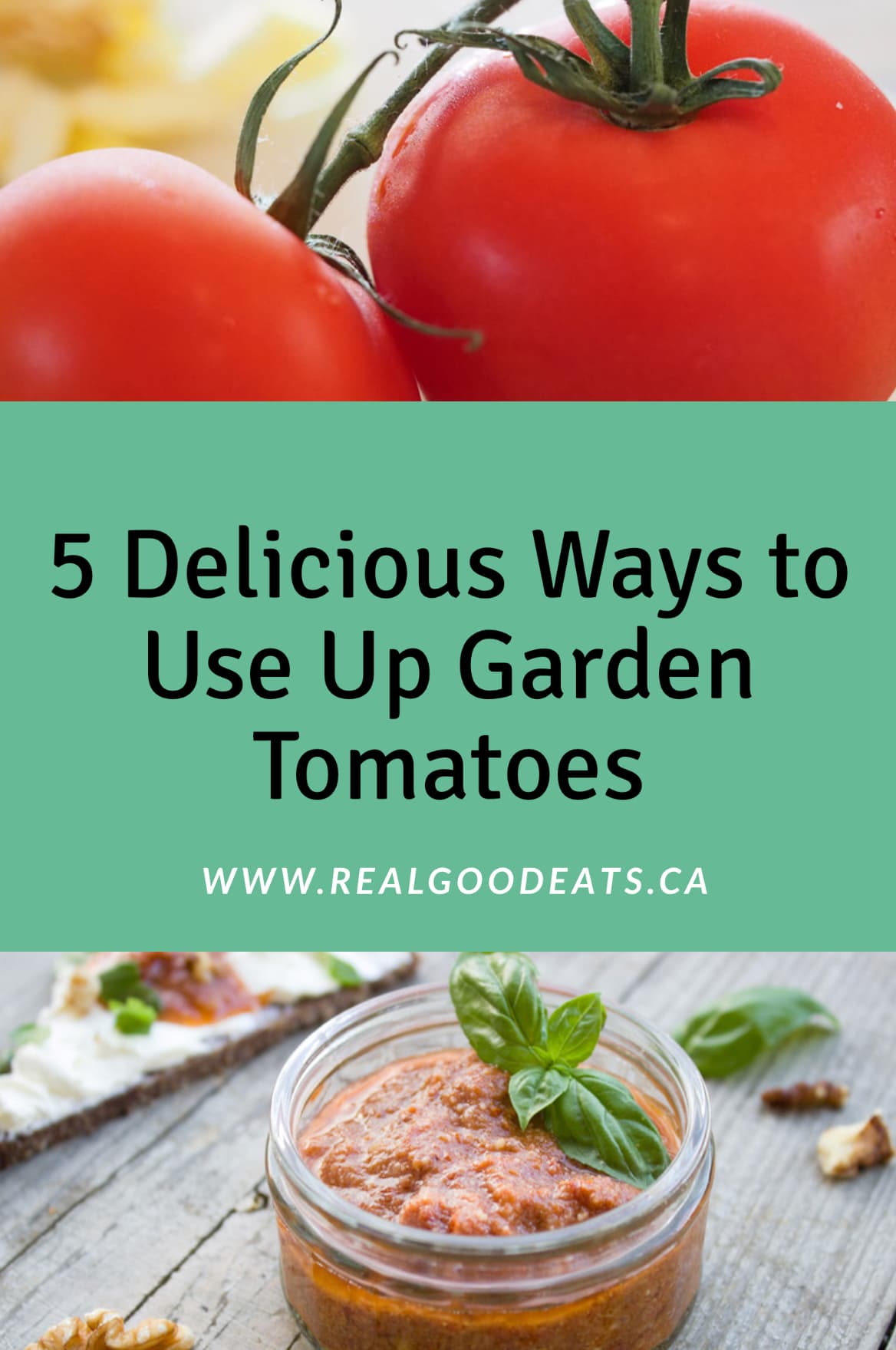 5 delicious ways to use up garden tomatoes blog graphic