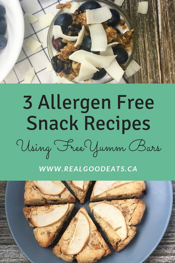 3 allergen free snack recipes using FreeYumm bars blog graphic