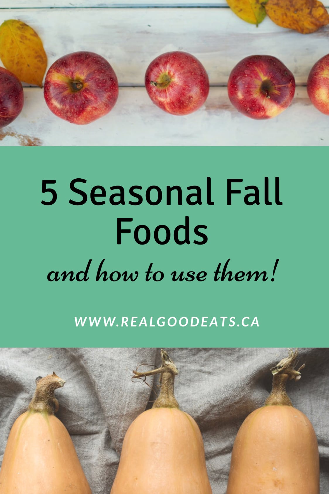 5 seasonal fall foods and how to use them blog graphic