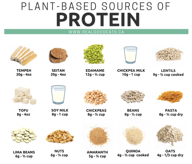 Plant Based Sources Of Protein preview 