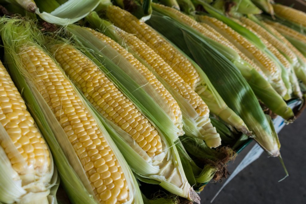 corn