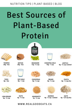 Best Sources of Plant-Based Protein