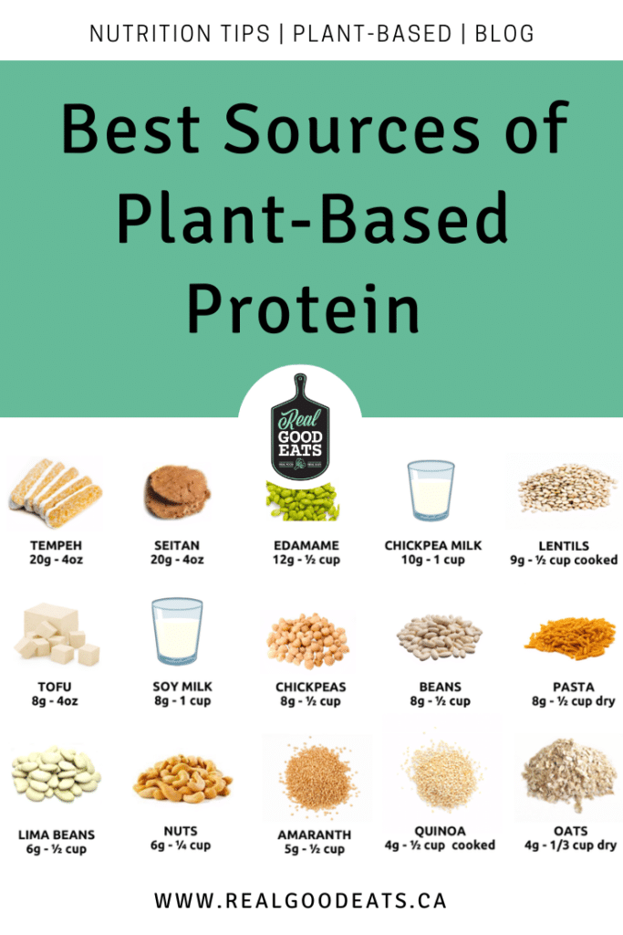 Best Sources of PlantBased Protein