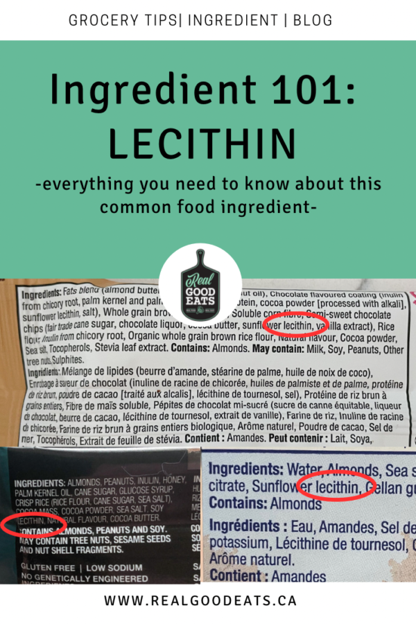 Lecithin Food Ingredient Review
