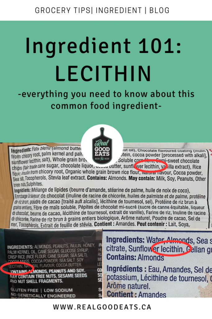 Lecithin Food Ingredient Review