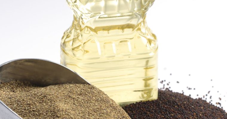 Is Canola Oil Bad for You? Dietitian Review