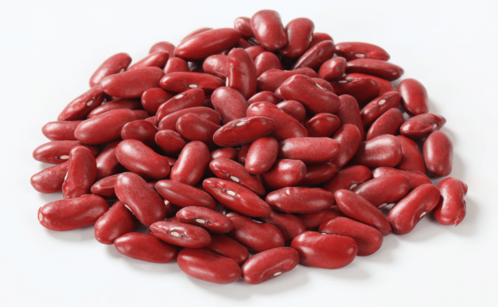 Food sources of iron - kidney beans