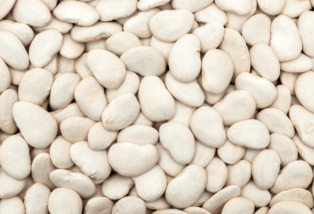 Food sources of iron - Lima beans