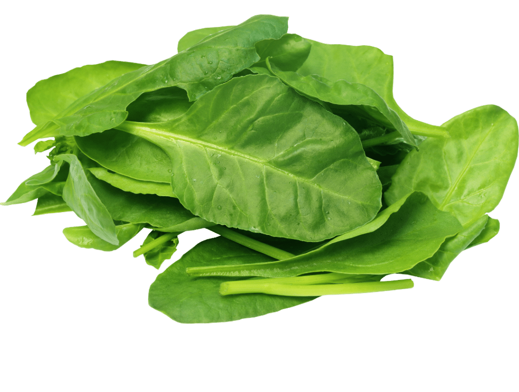 Food sources of iron - Spinach