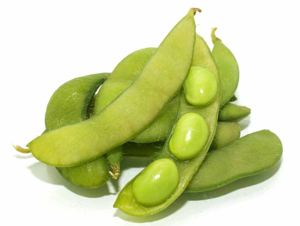 Food sources of iron - Edamame