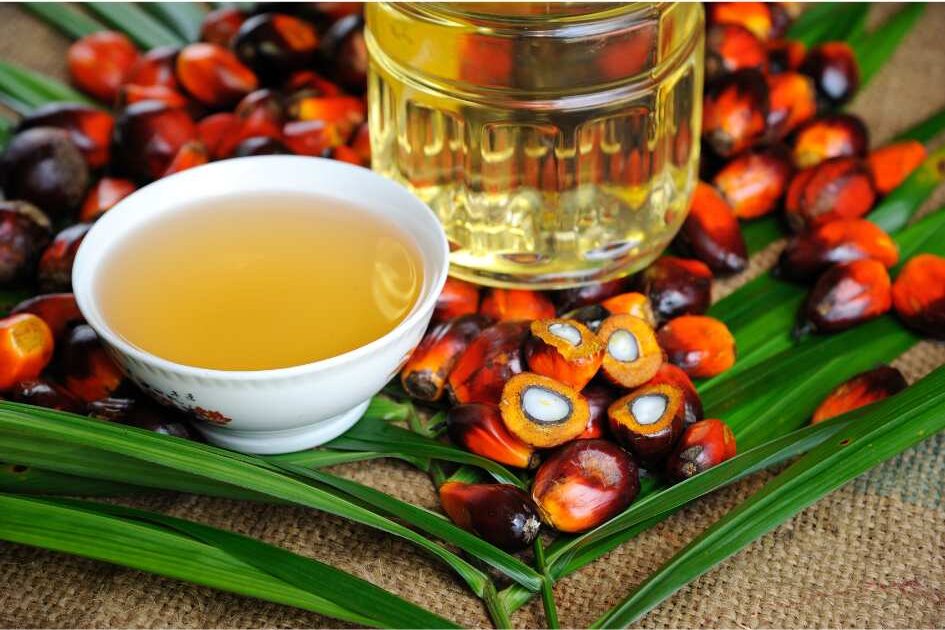 Is palm oil bad for you?