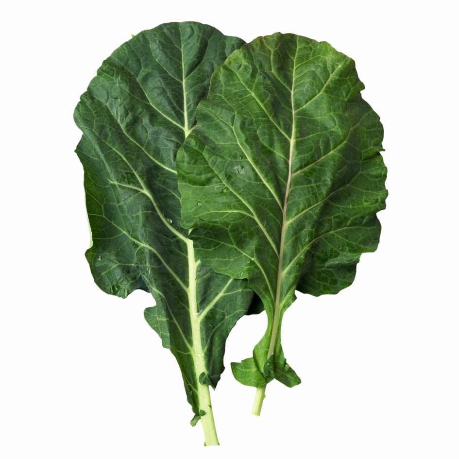 Best Food Sources of Calcium - Collard Greens