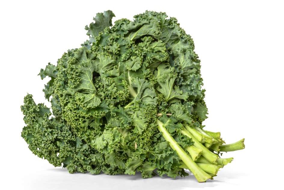 Best Food Sources of Calcium - Kale