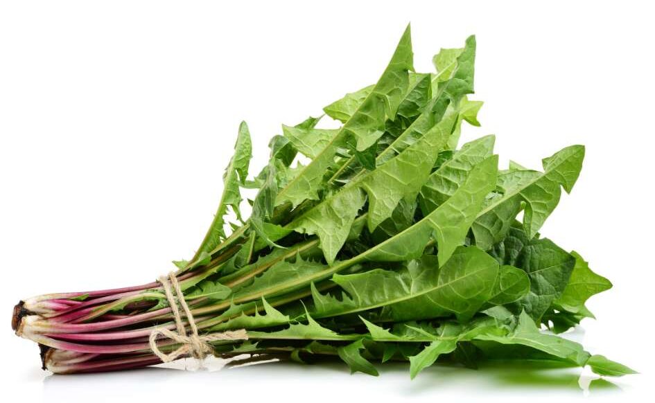 Dandelion greens