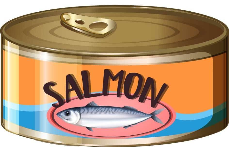 Best Food Sources of Calcium - Canned salmon