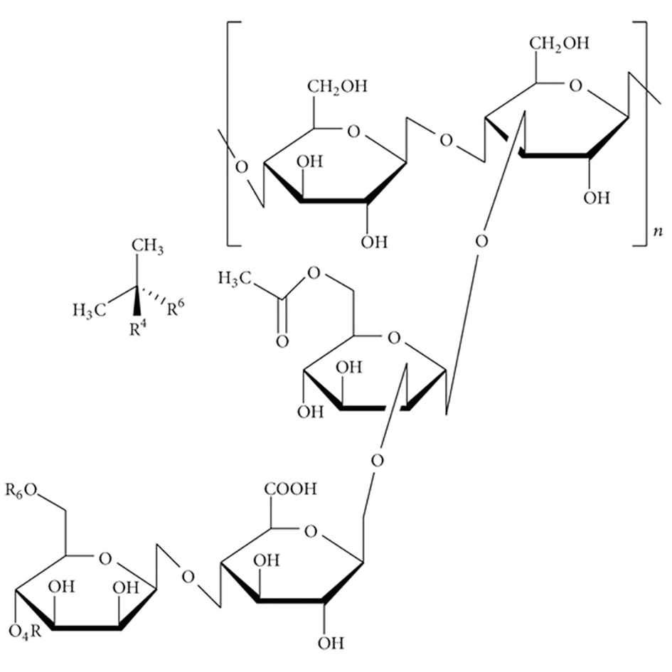 Xanthan Gum Structure